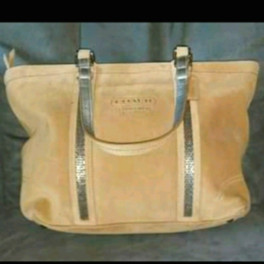 Coach Loden Suede Beaded Stripe Tote